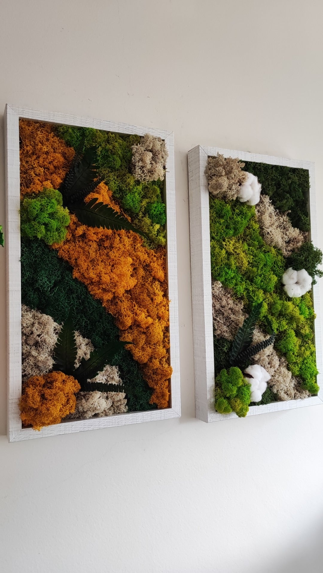 Moldura Madeira branca 45x25cm com Musgo e Plantas Preservadas