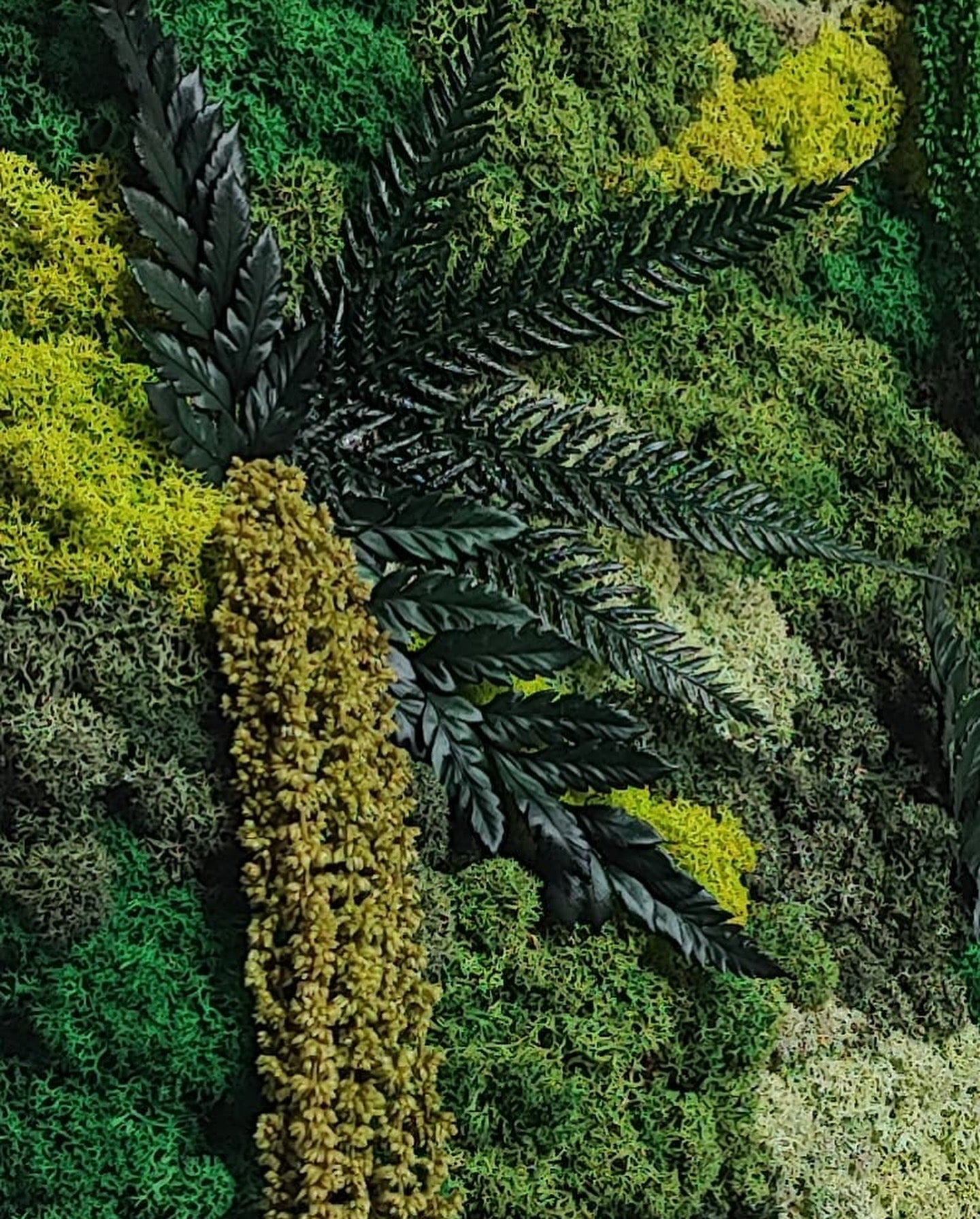 Moldura Madeira preta 60x30cm com Musgo e Plantas Preservadas