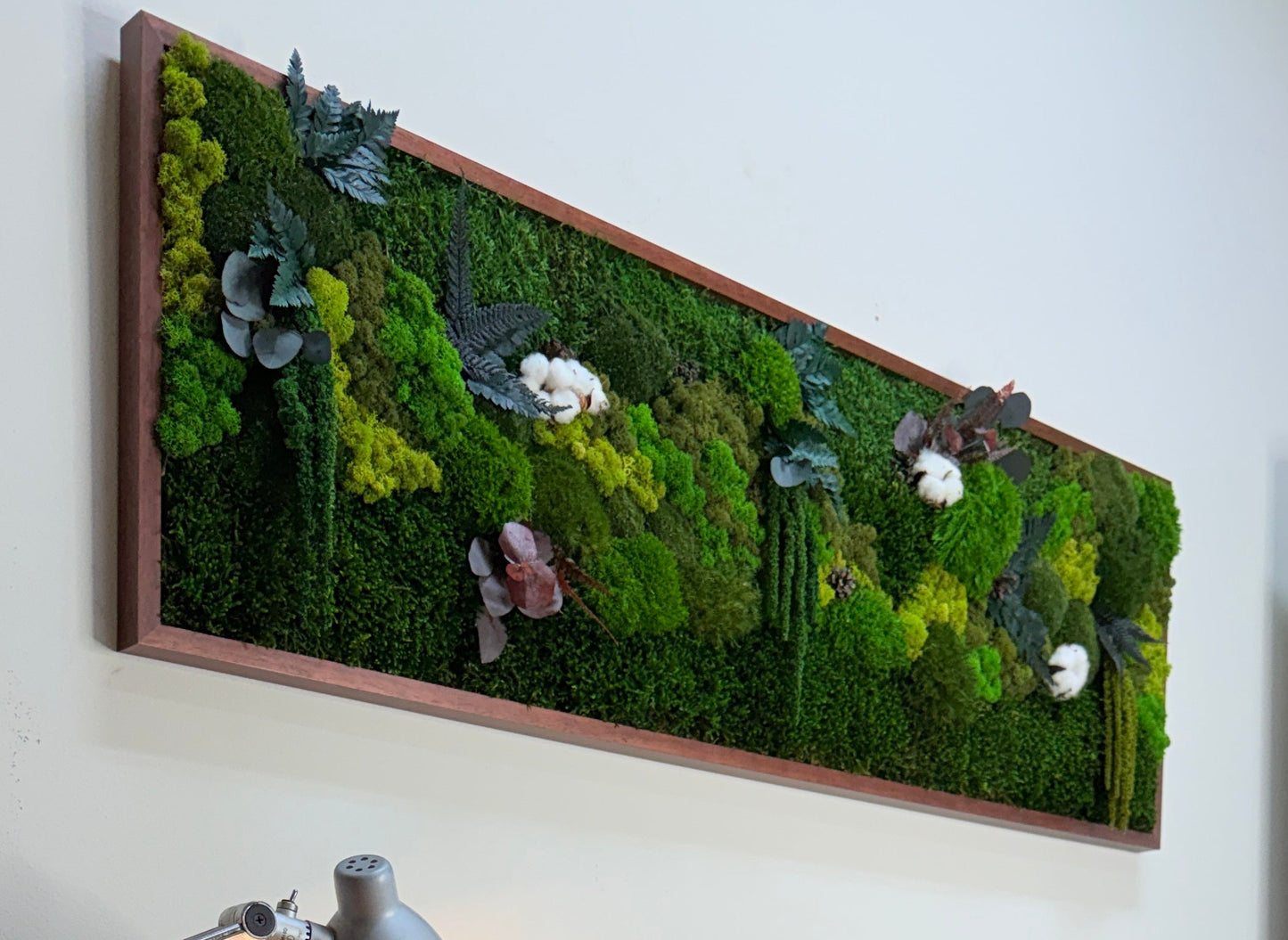Moldura Madeira Castanho 120x40cm com musgo e plantas preservadas