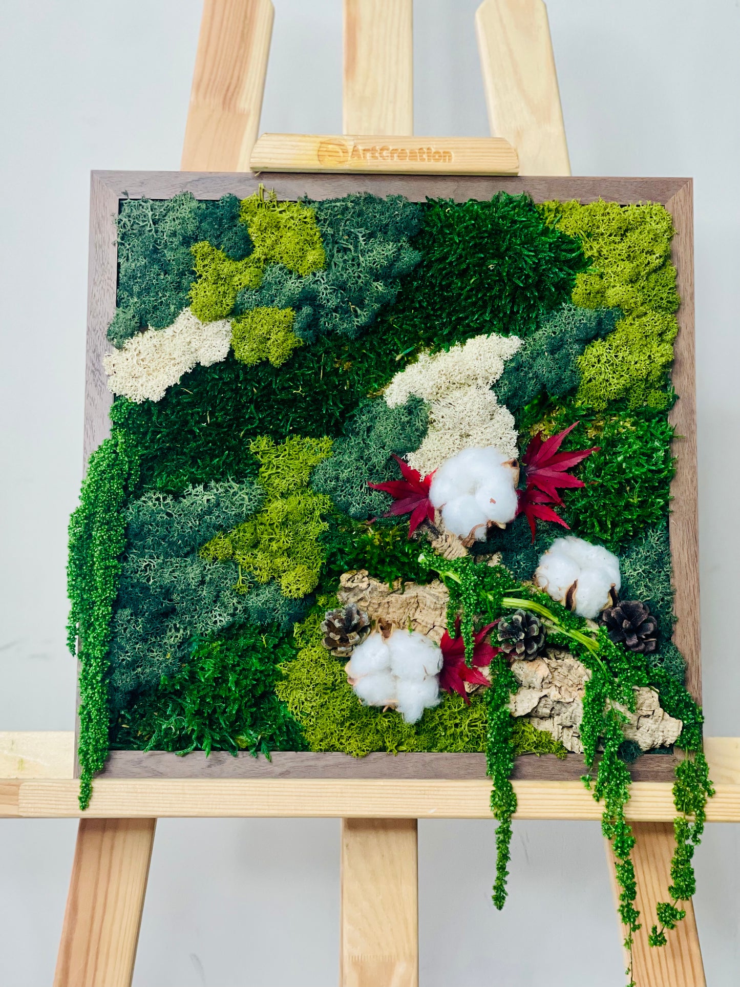 Moldura Madeira Castanha 30x30cm com Musgo e Plantas Preservadas