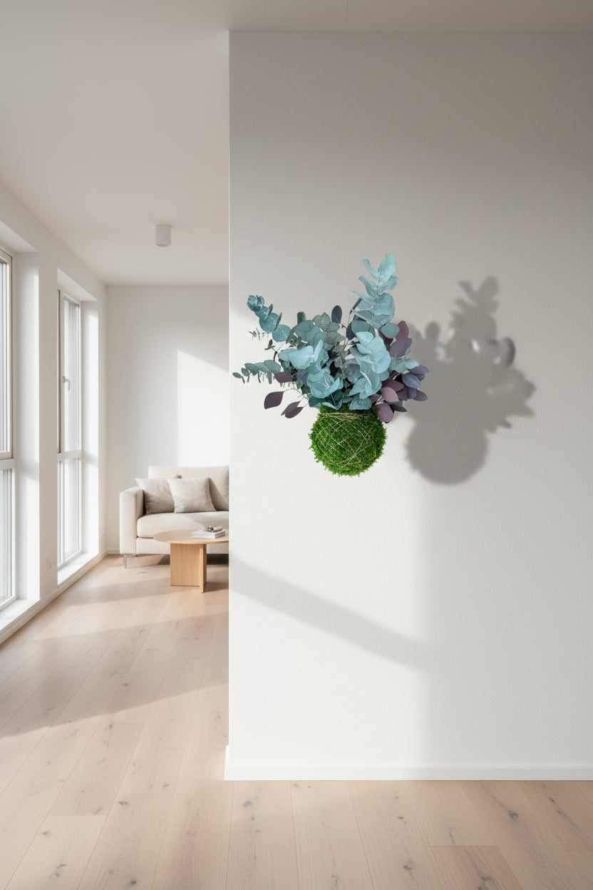 Kokedama preservado Eucalyptus Mix