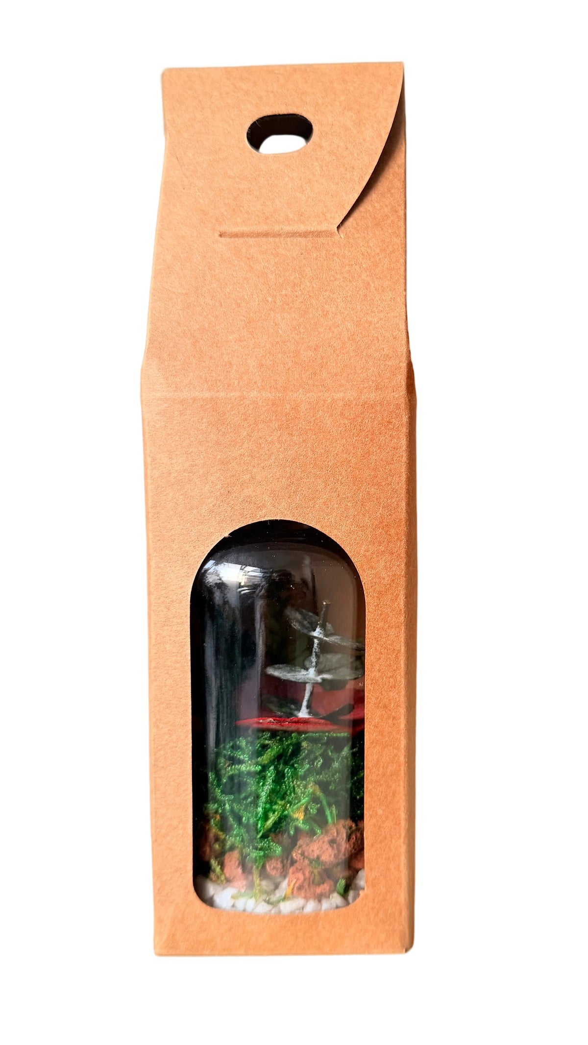 Mini Terrário Preservado