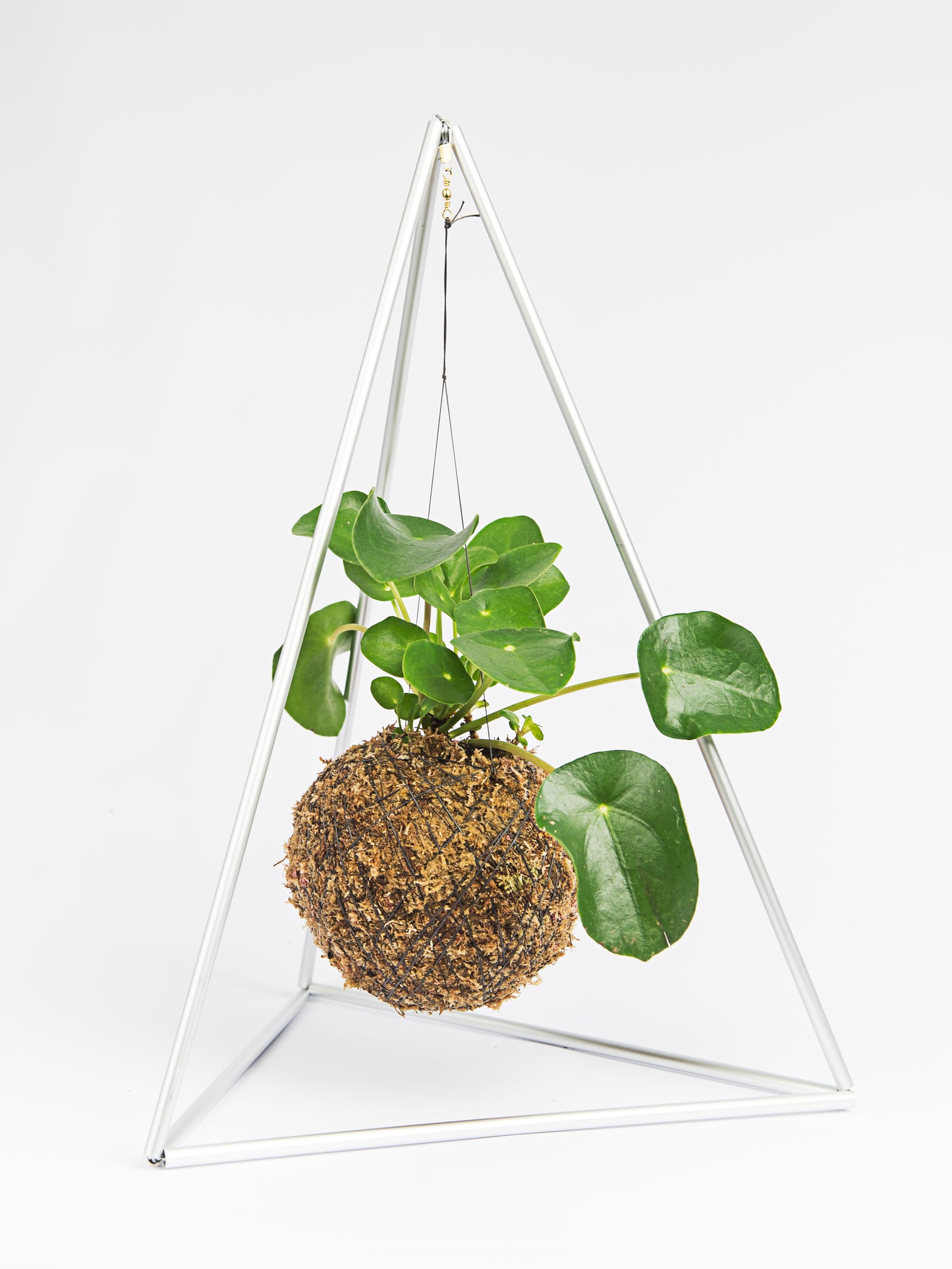 kokedama em piramide
