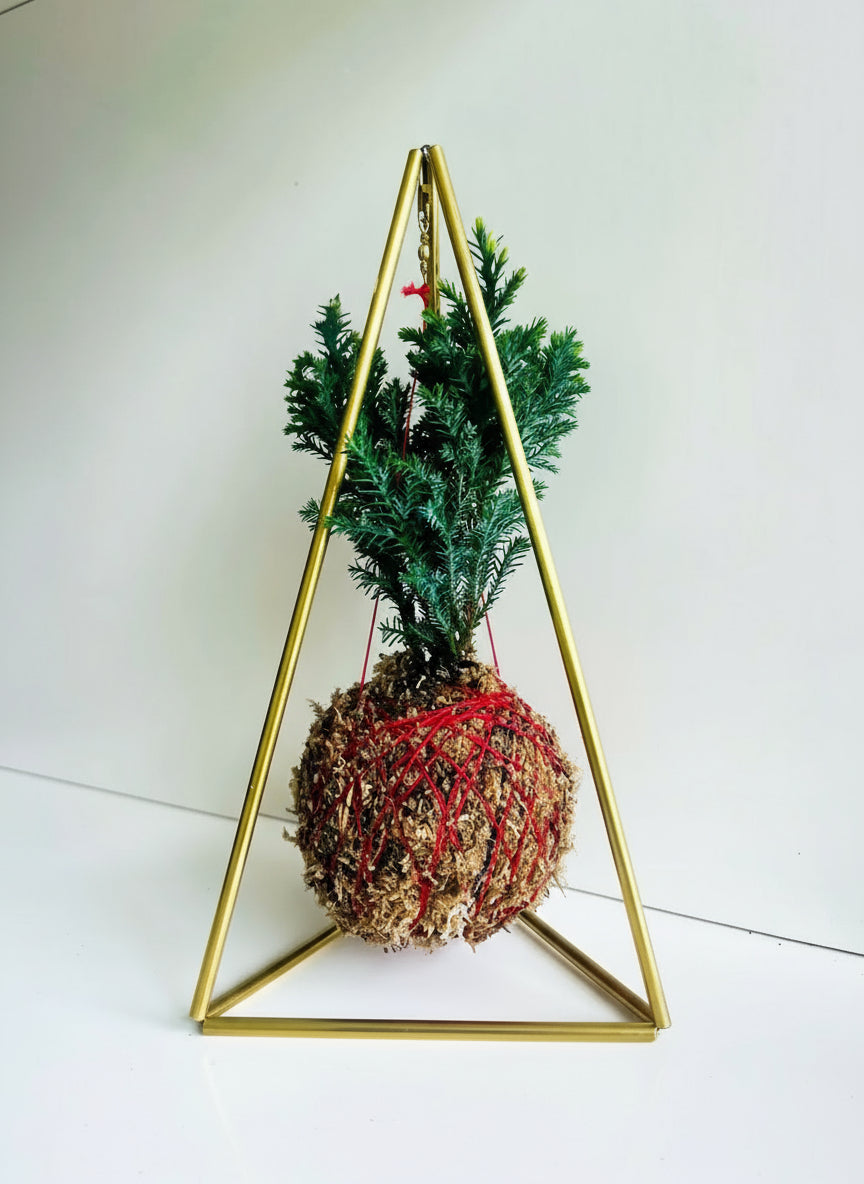 kokedama piramide