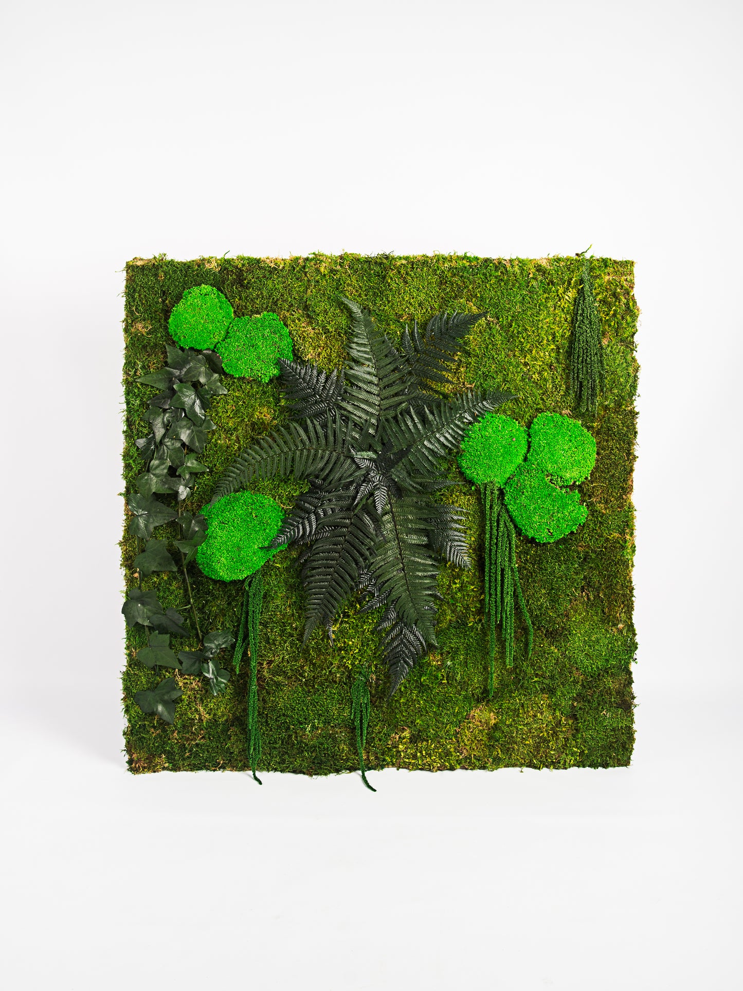 Molduras / painéis / jardins verticais e revestimentos com musgo e plantas preservadas