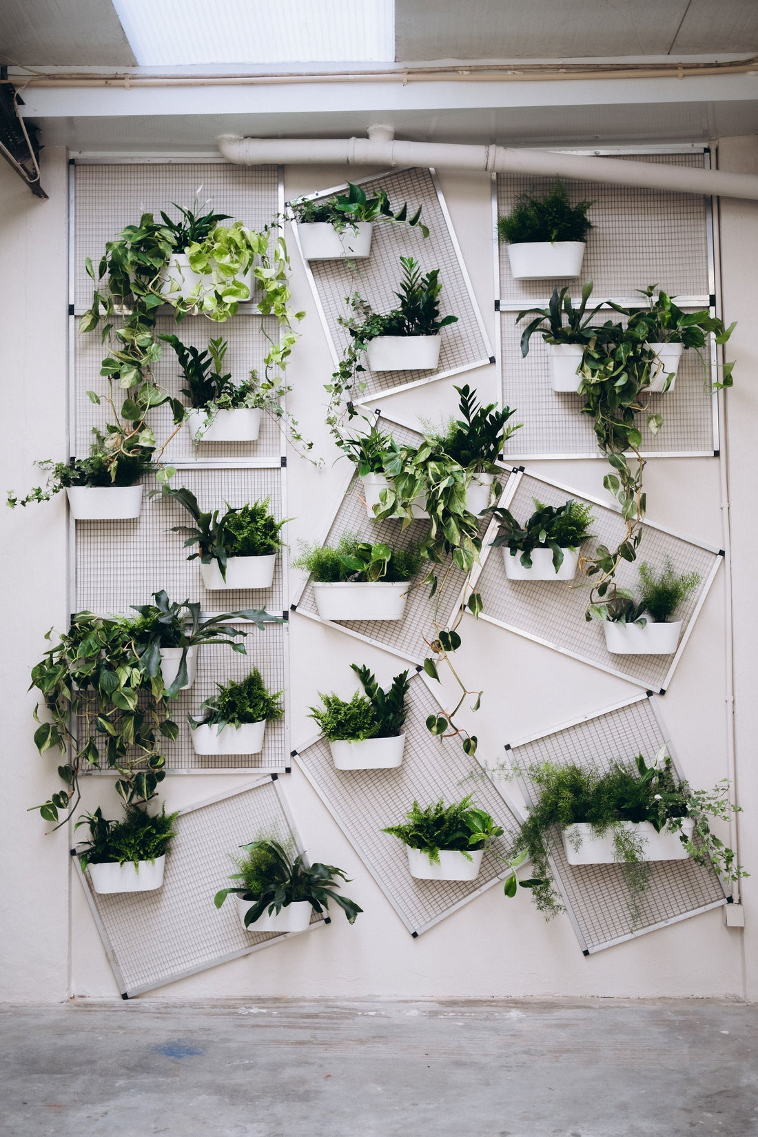Jardim vertical 