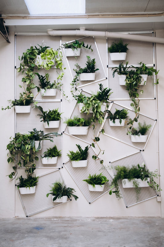 Jardim vertical 