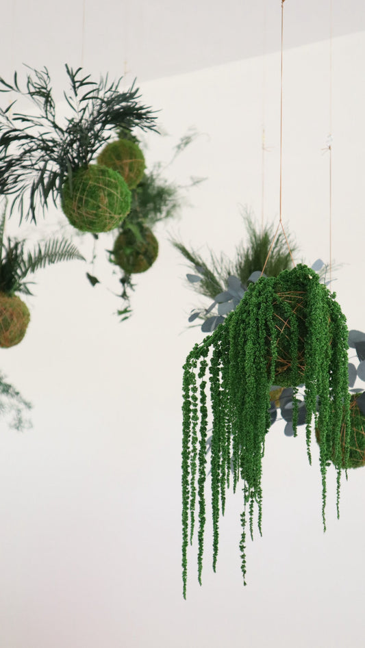 Decoração Biofílica com Kokedamas Preservados |  Lar André Almeida