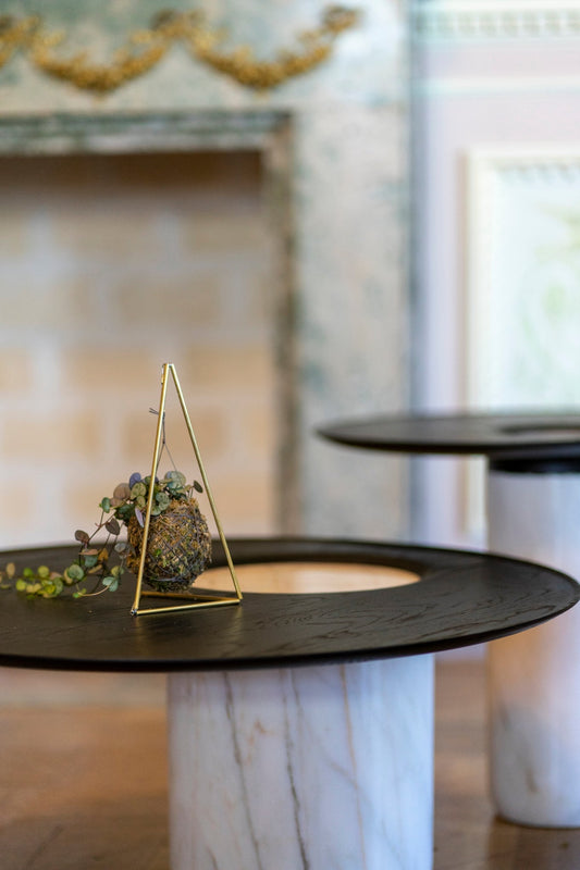 Porquê que as plantas nos deixam felizes