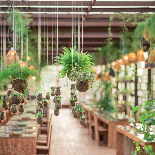 O que é um Kokedama?