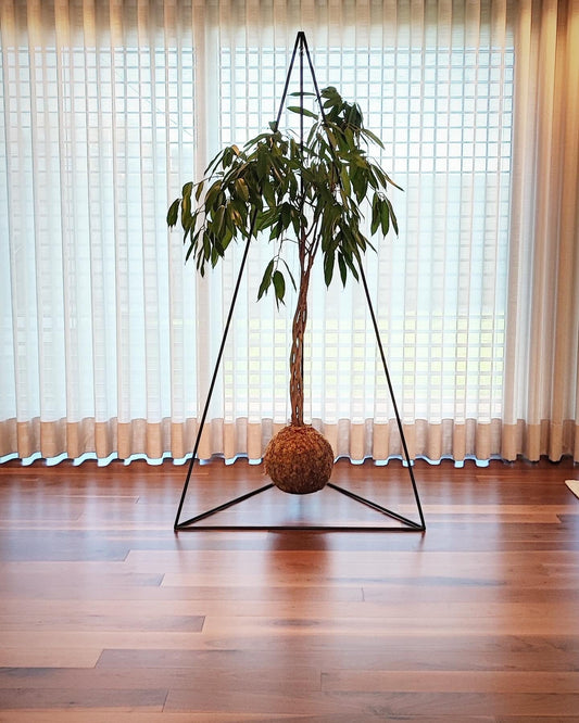 Pirâmide 2m com kokedama XXL | Casa particular em Guimarães