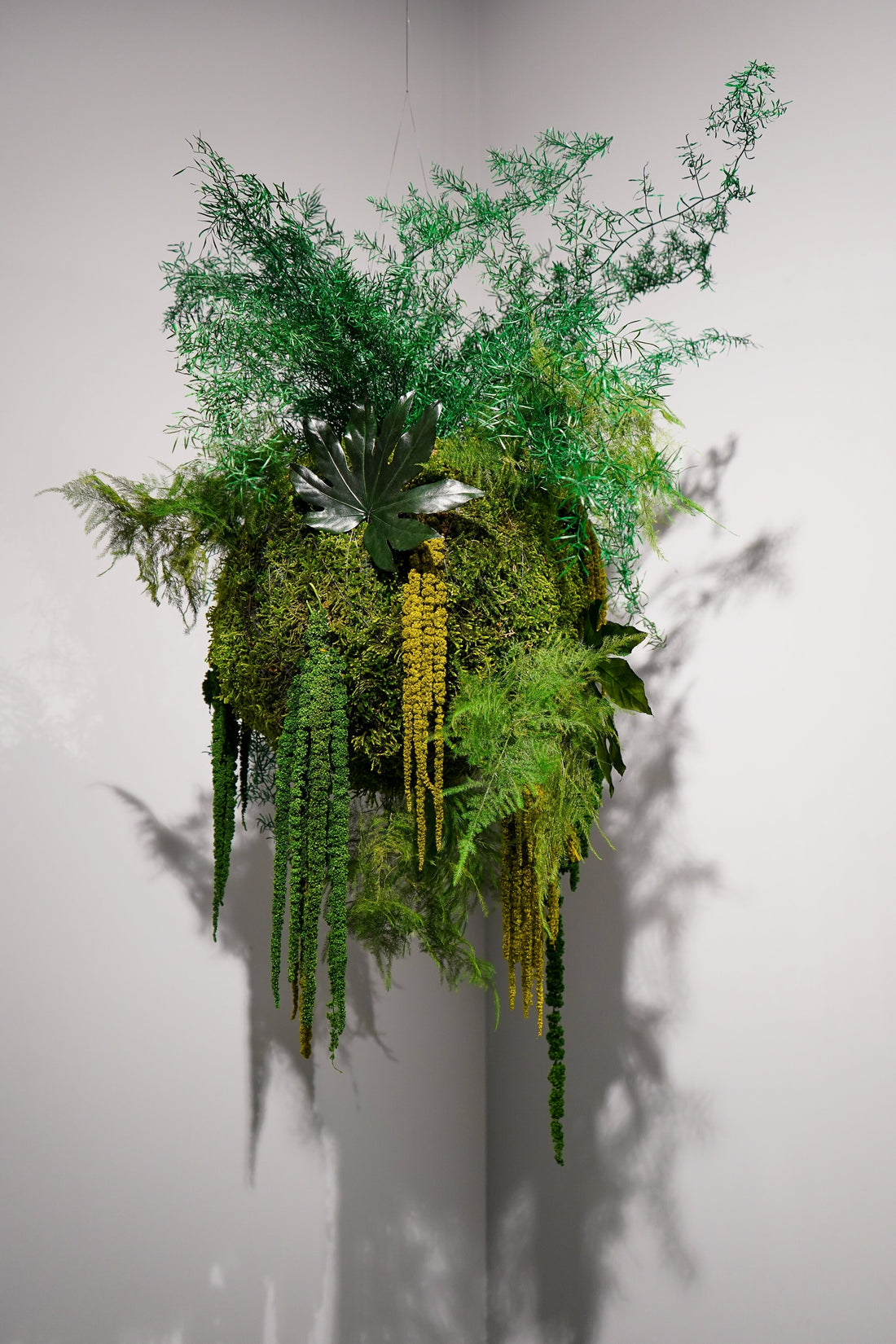 Biofilia e Design: A Nossa Presença no Novo Showroom da ADICO x Multivibes no Porto
