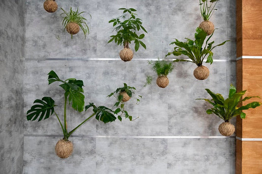 Patrocínio Masterchef Portugal 2021