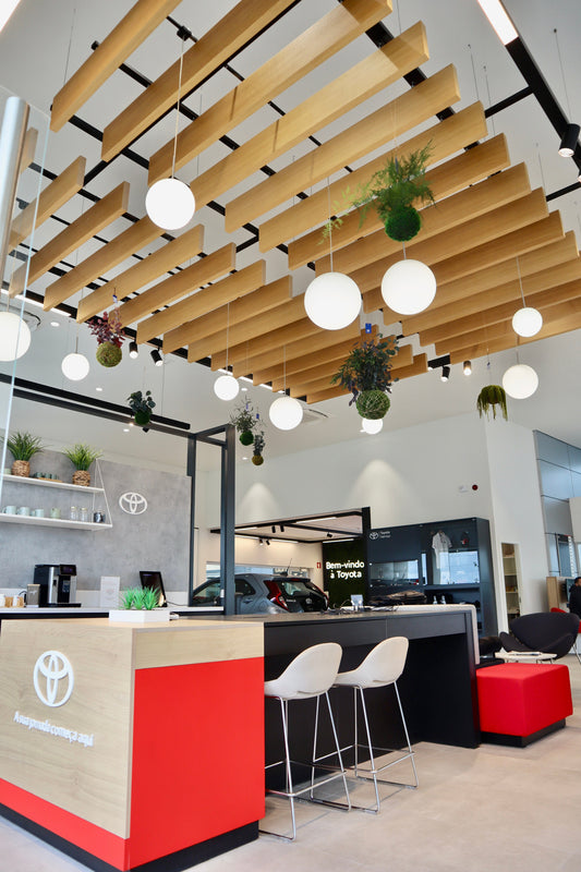 Kokedamas Preservados Toyota | Sucursal Maia