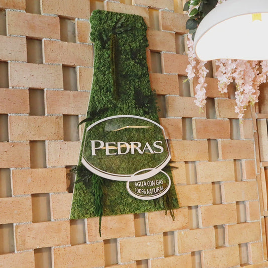 Garrafa Água das Pedras com musgo e plantas preservadas | Ponto de Vendas Madrid