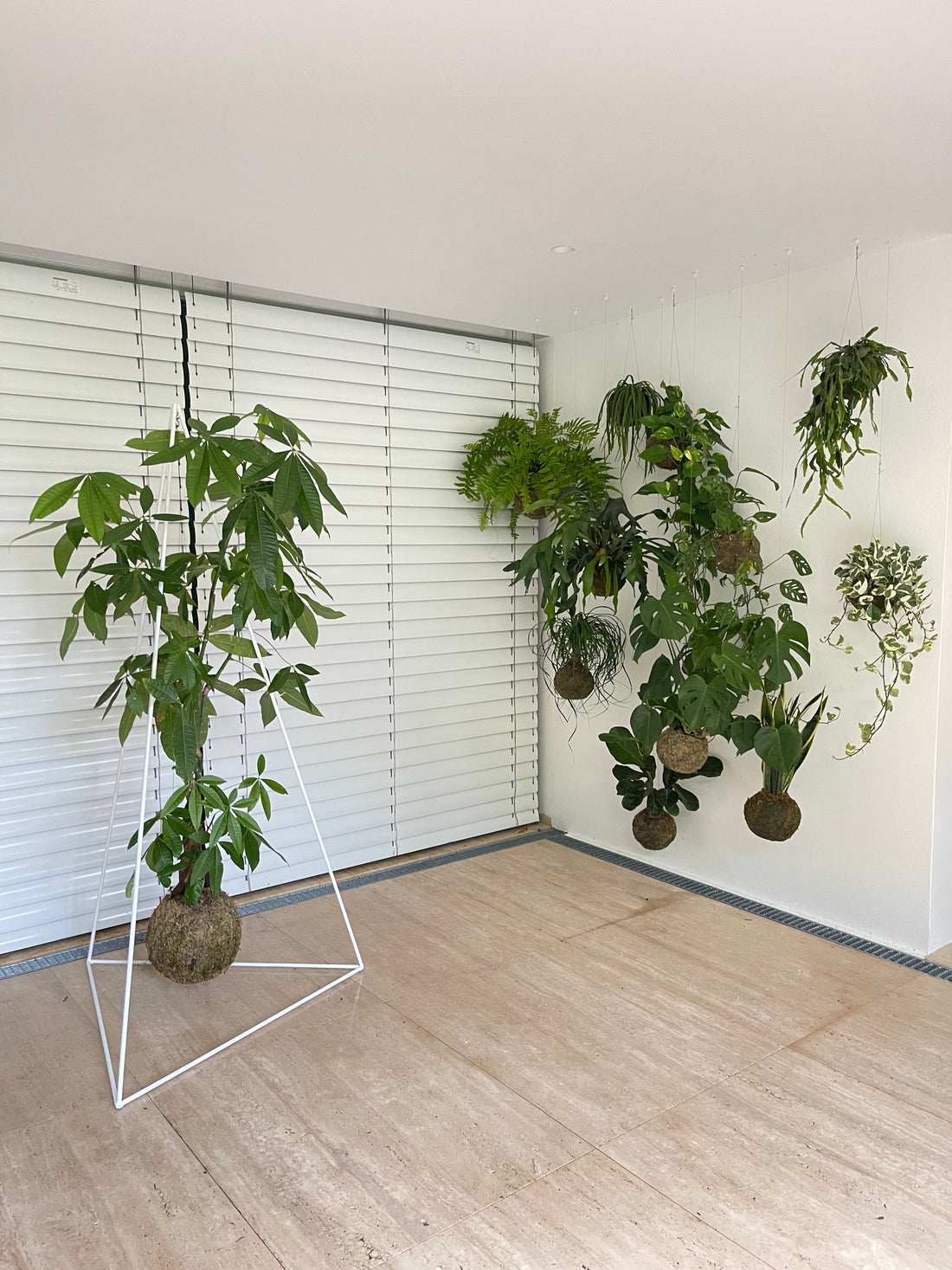 Pirâmide 2m com kokedama XXL | Casa particular no Algarve