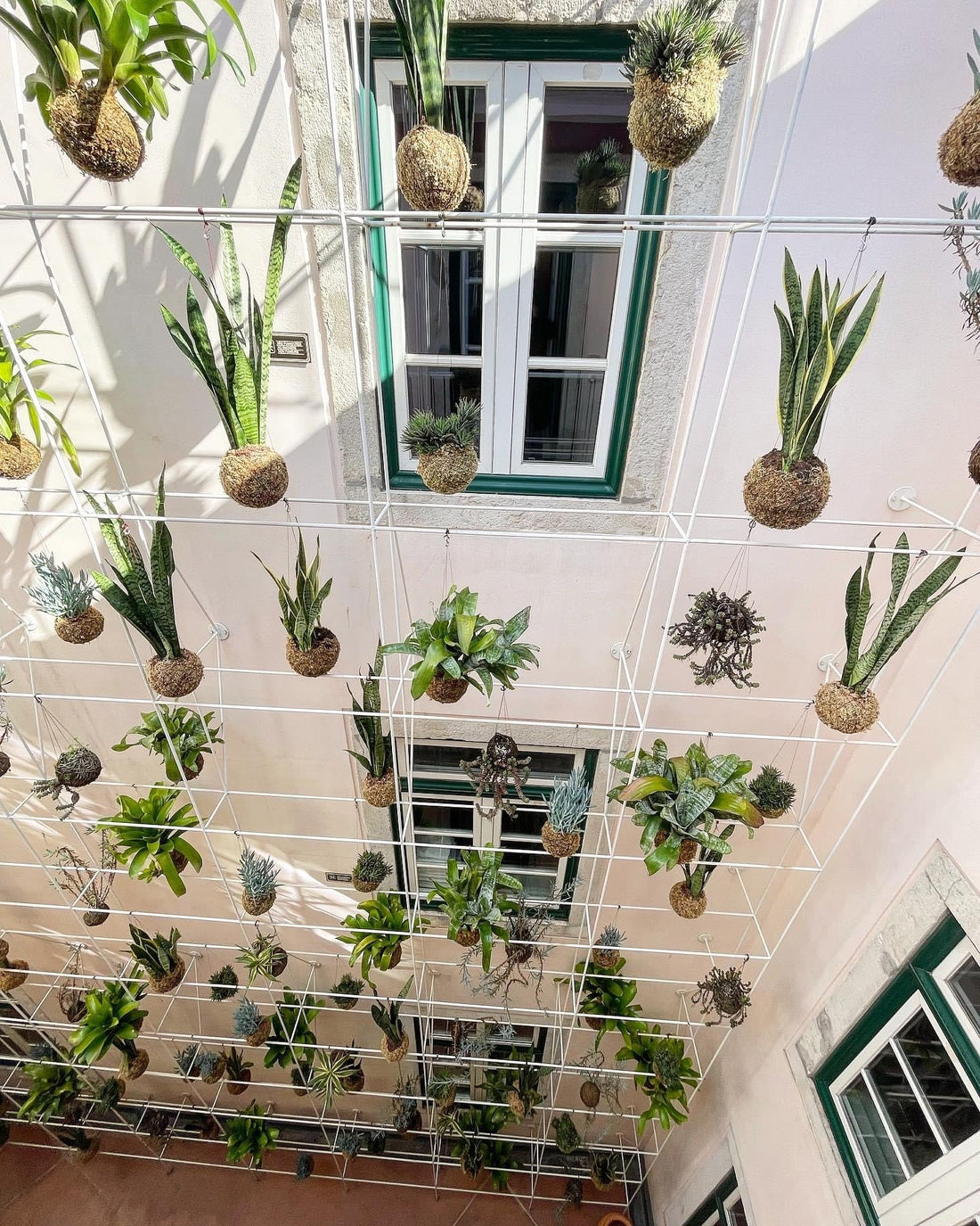 Decoração com kokedamas | My Story Hotels Rossio