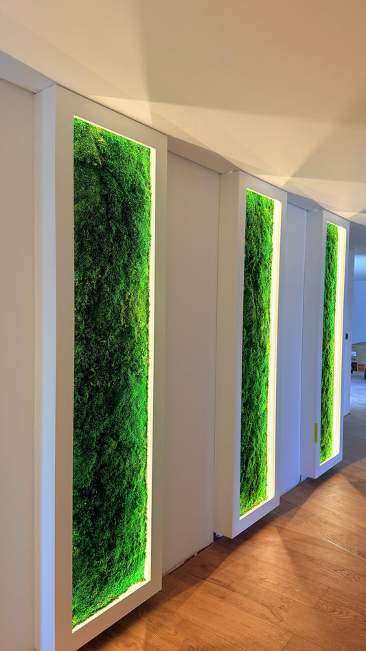 Painéis de musgo preservado - Biofilia Design