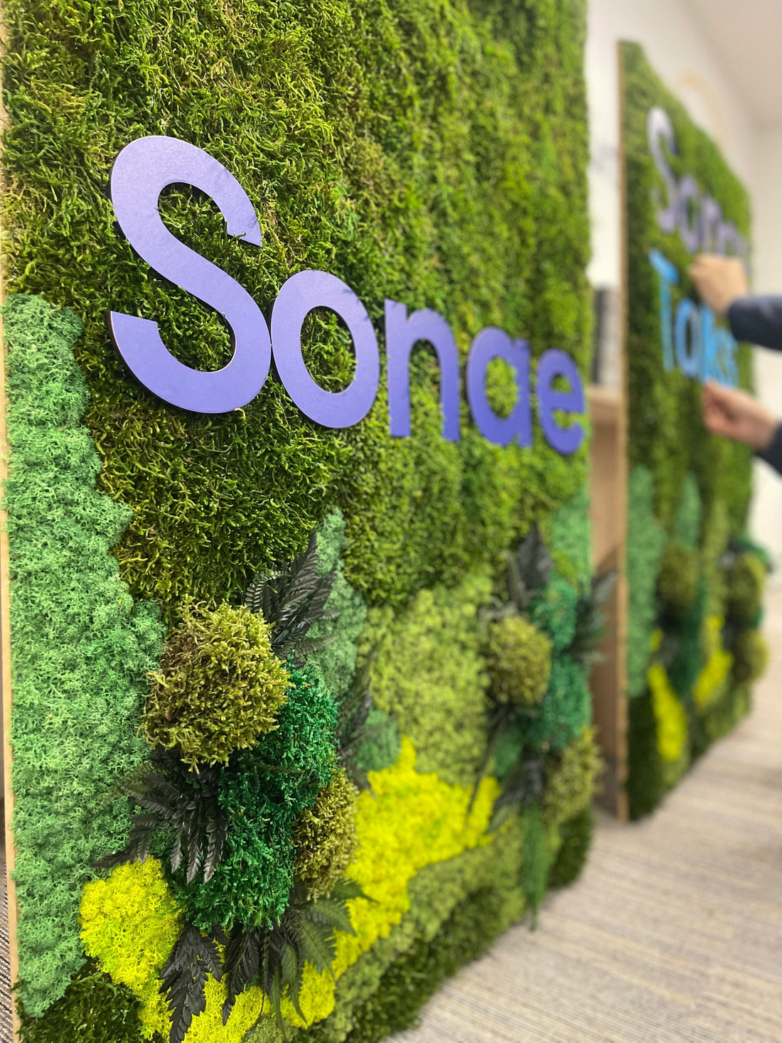 Painéis de musgo preservado com logo removível | SONAE Talks