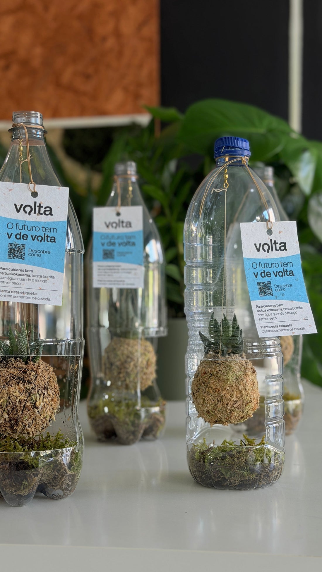 Press Kit | Volta ♻️ O Futuro tem V de Volta: Um Ecossistema de uma segunda vida