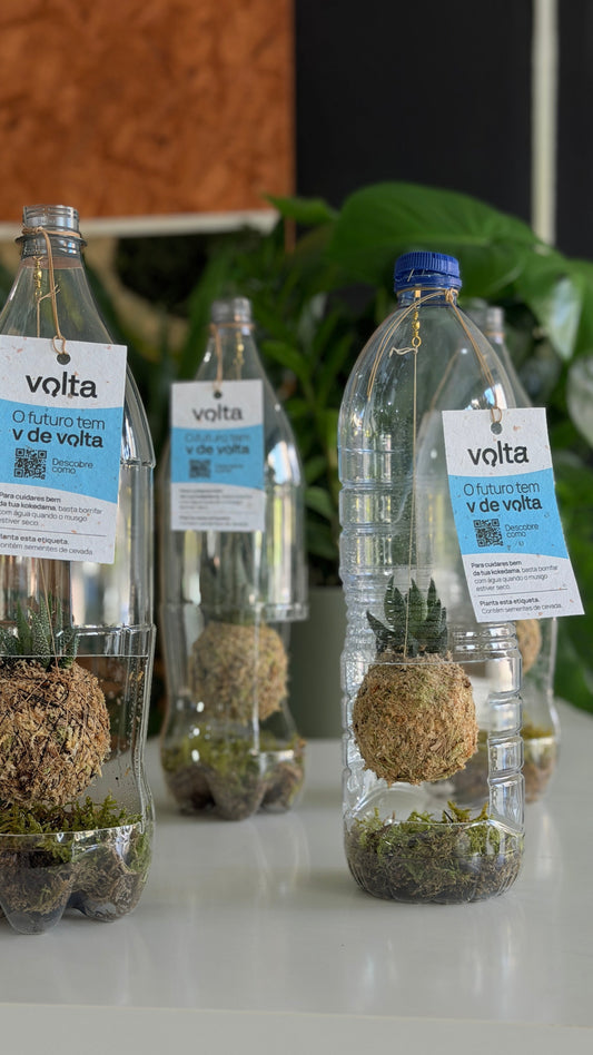 Press Kit | Volta ♻️ O Futuro tem V de Volta: Um Ecossistema de uma segunda vida