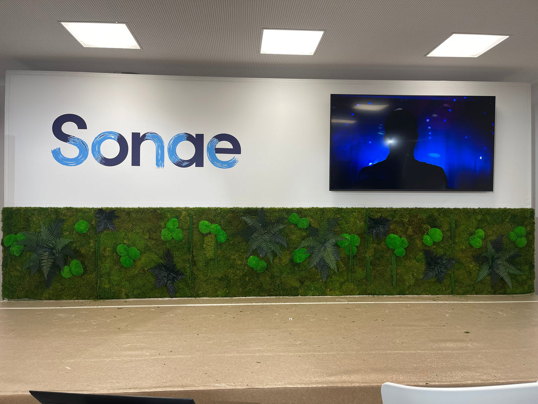 Conferência Anual de Resultados | SONAE 2024