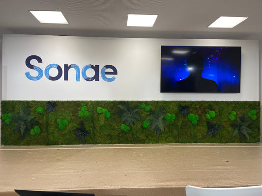 Conferência Anual de Resultados | SONAE 2024