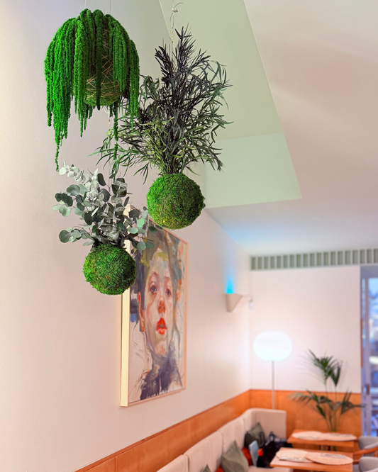 Kokedamas Preservados | Noshi coffee Porto