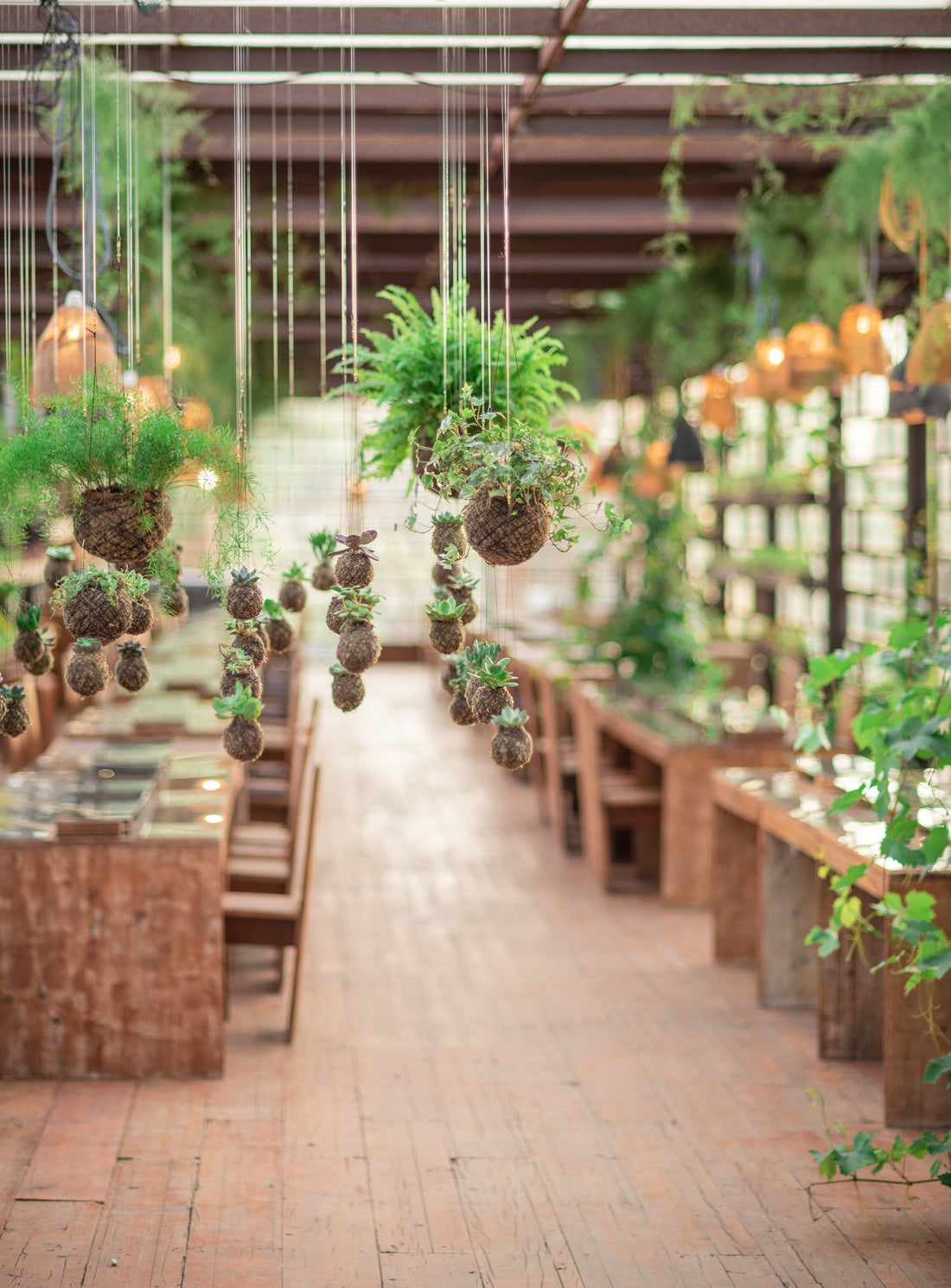 kokedamas e lembranças | Casamentos e Outros Eventos