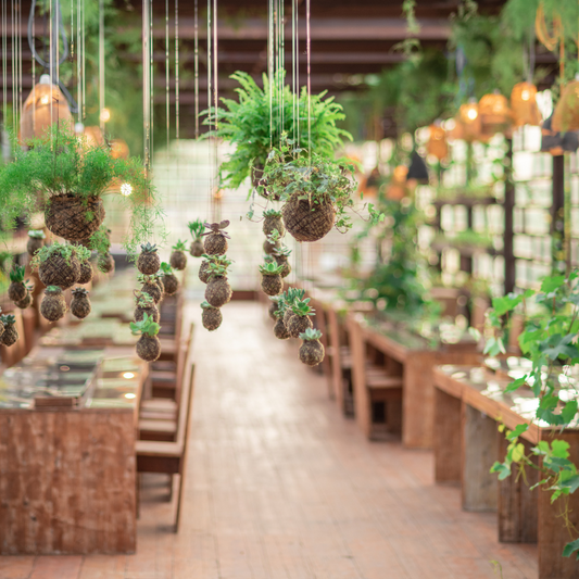 Decoração Biofílica & lembranças | Eventos