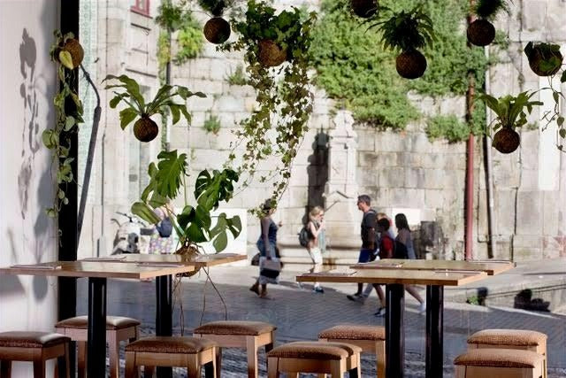 Da Terra Restaurante Vegetariano | Baixa Porto
