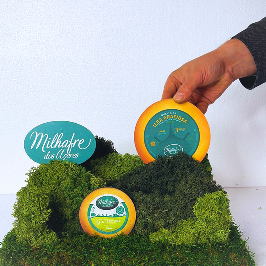 Stand / Expositor com musgo preservado | Milhafre