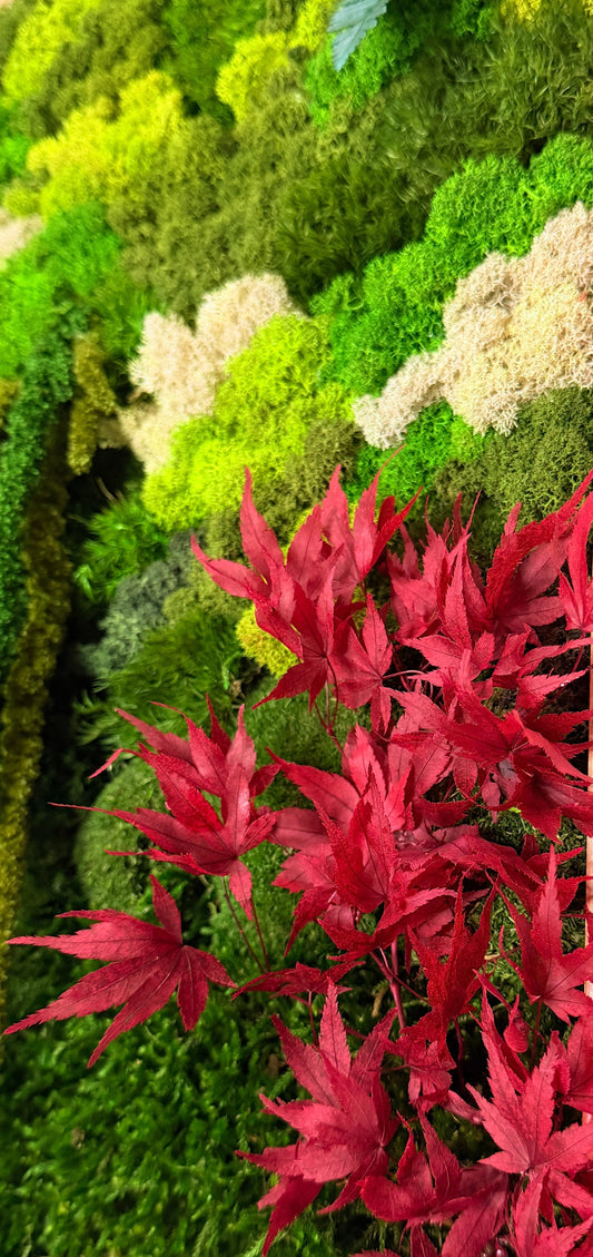 O Poder do Design biofílico: como trazer a natureza para dentro de casa