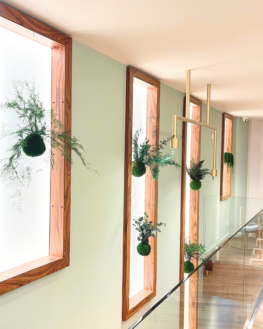 Natureza Suspensa |  Noshi coffee Vila do Conde