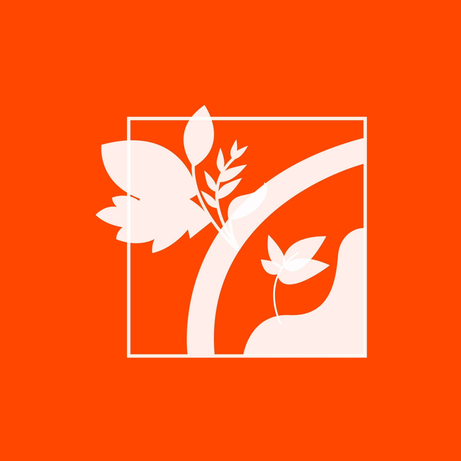 Painéis e molduras com musgo