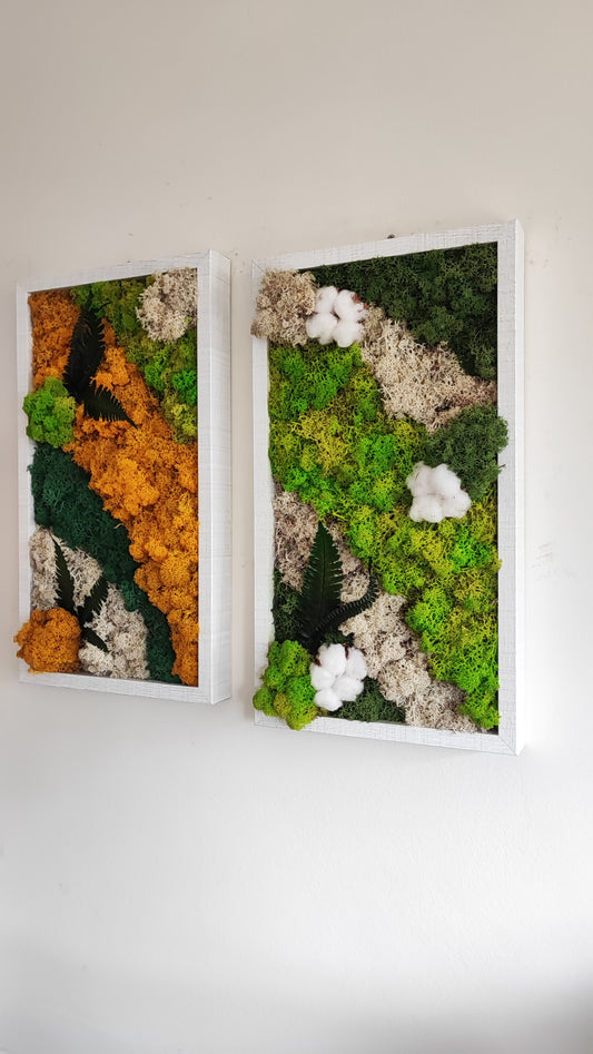Moldura Madeira branca 45x25cm com Musgo e Plantas Preservadas