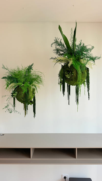 Kokedama Preservado Terrae
