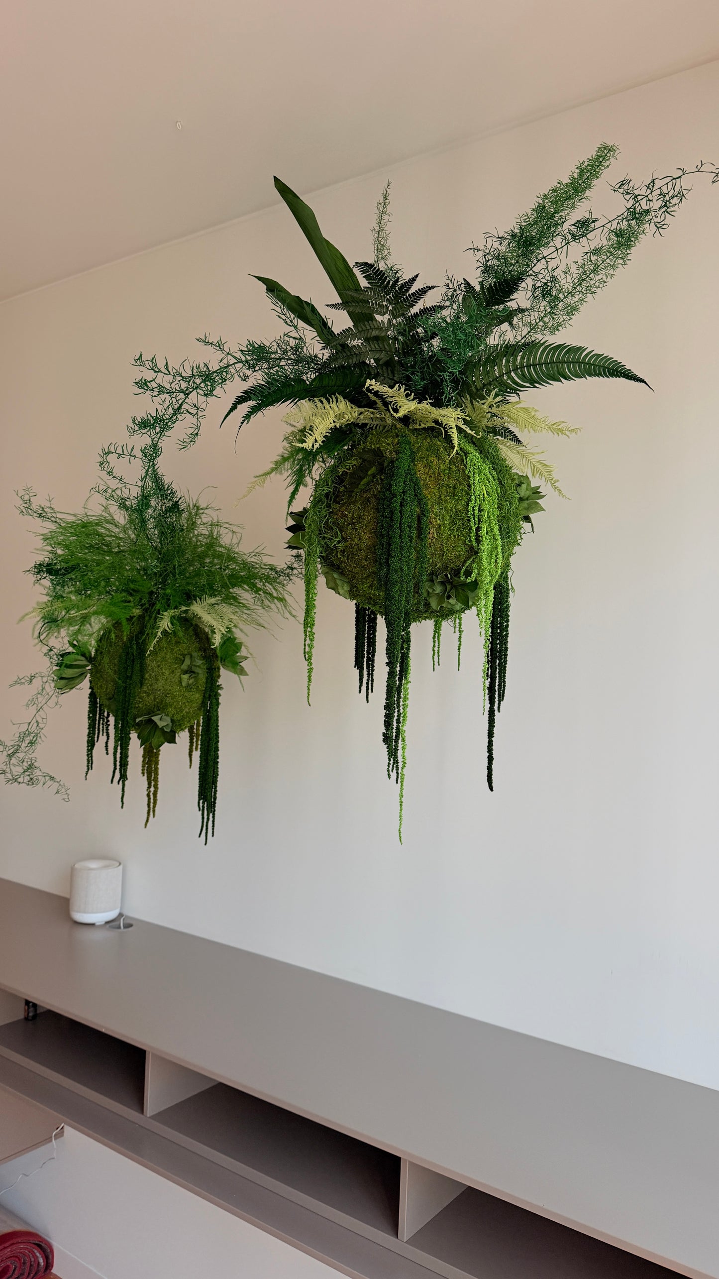 Kokedama Preservado Terrae