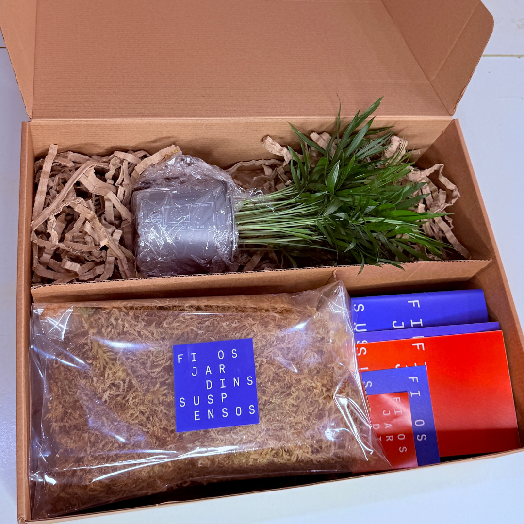 Kit DIY Kokedama