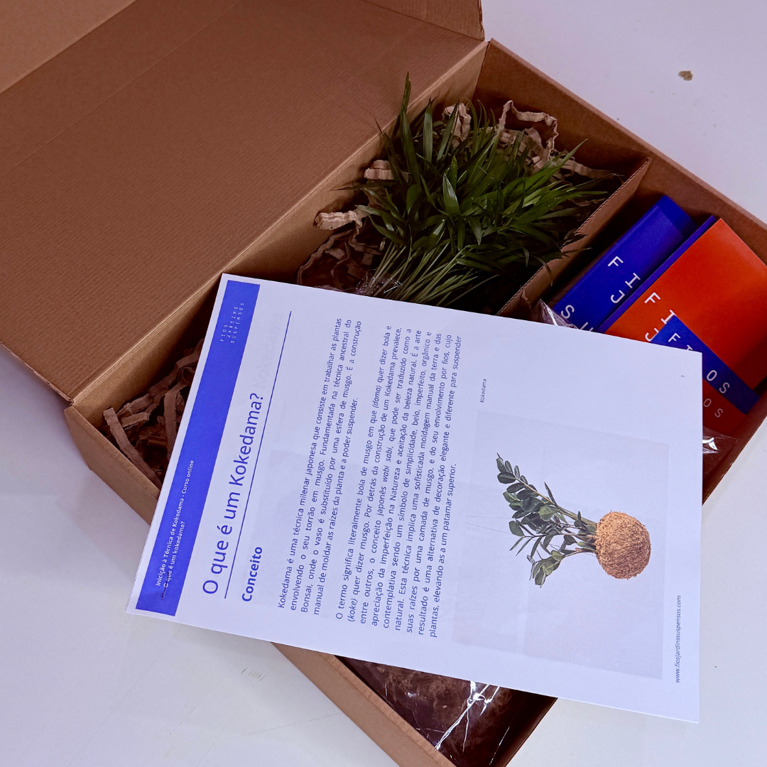Kit DIY Kokedama