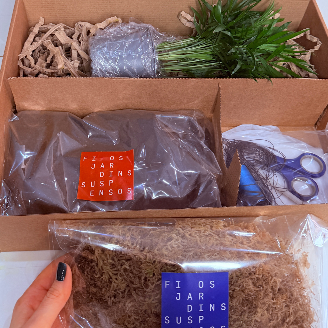 Kit DIY Kokedama
