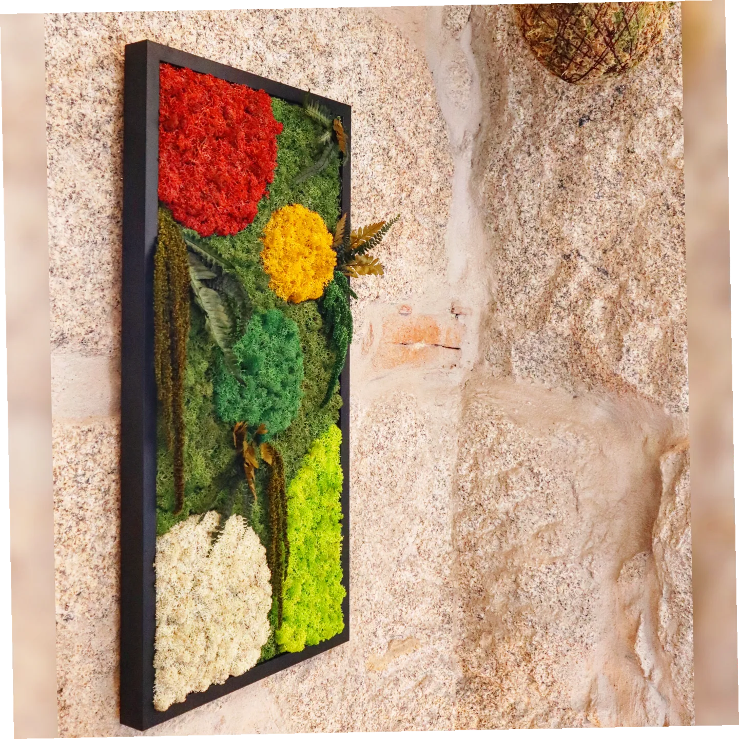 Moldura Madeira preta 30x60cm com Musgo e Plantas Preservadas