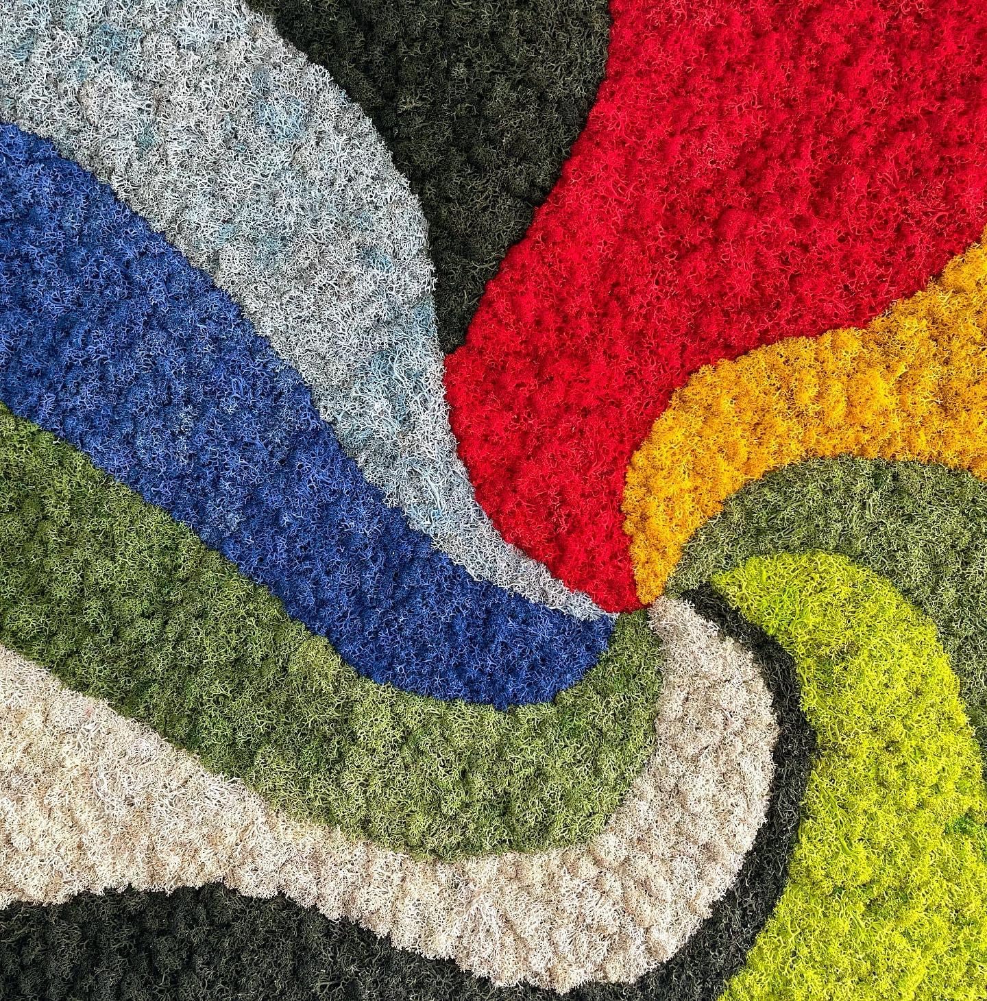 Quadro em Musgo Preservado Rainbow