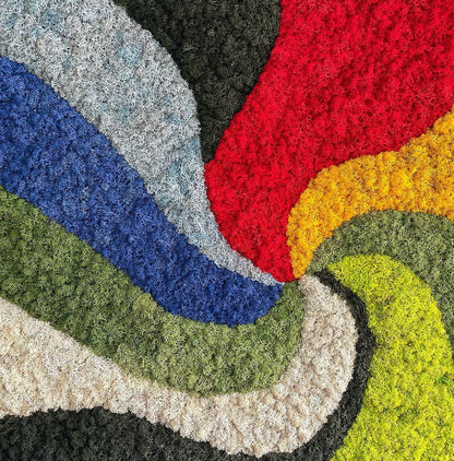 Quadro em Musgo Preservado Rainbow