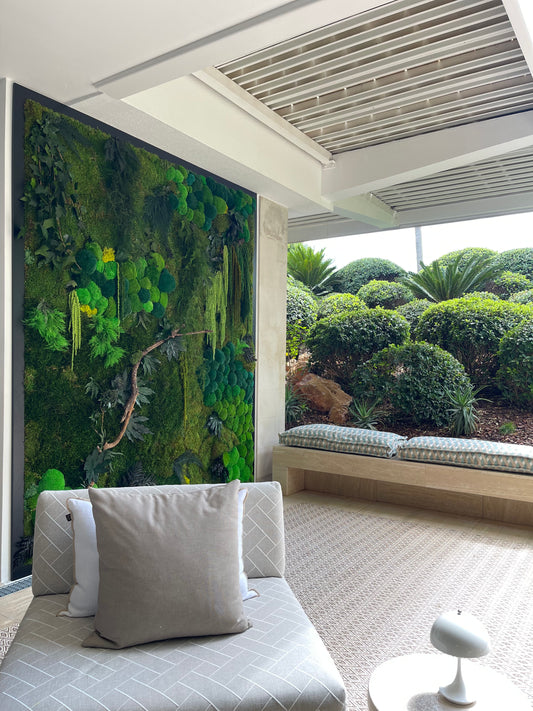Frames / panels / vertical gardens and coverings with preserved moss