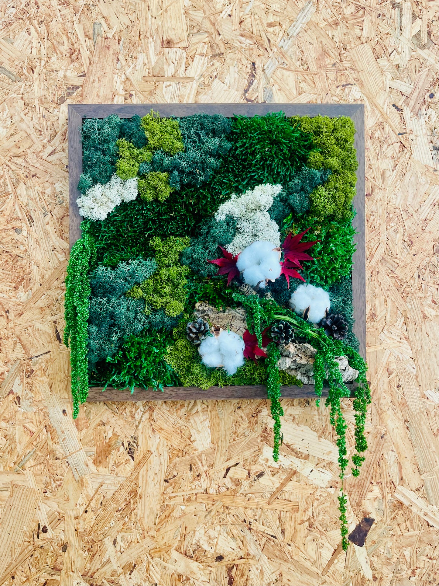 Moldura Madeira Castanha 30x30cm com Musgo e Plantas Preservadas