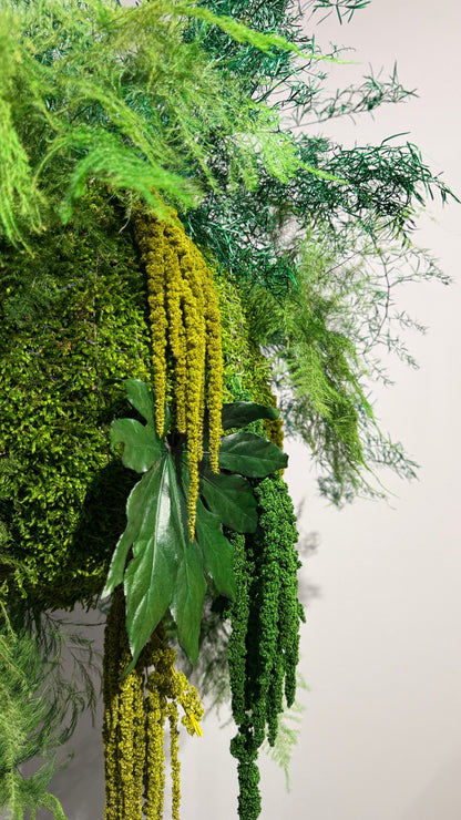 Kokedama preservado Colecção TERRAE