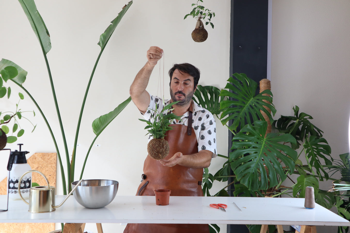 Curso online - Iniciação à técnica de Kokedama