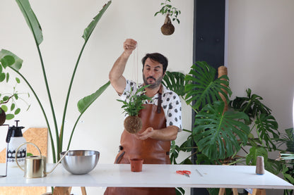 Curso online - Iniciação à técnica de Kokedama