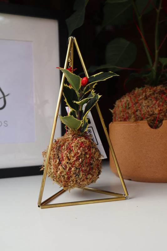 Ilex | Mini azevinho de Natal em pirâmide dourada